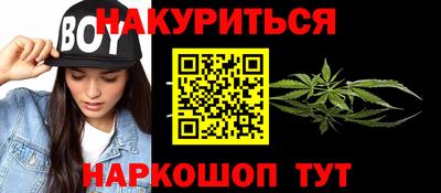 стаф Будённовск