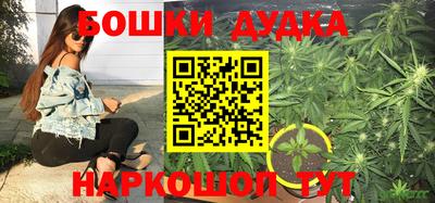 стаф Будённовск