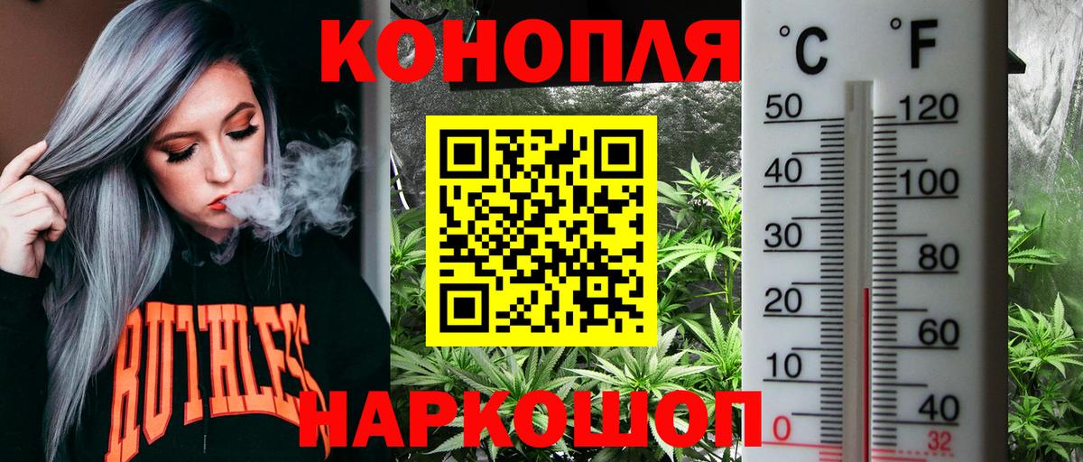 Бошки марихуана VHQ Новый Уренгой